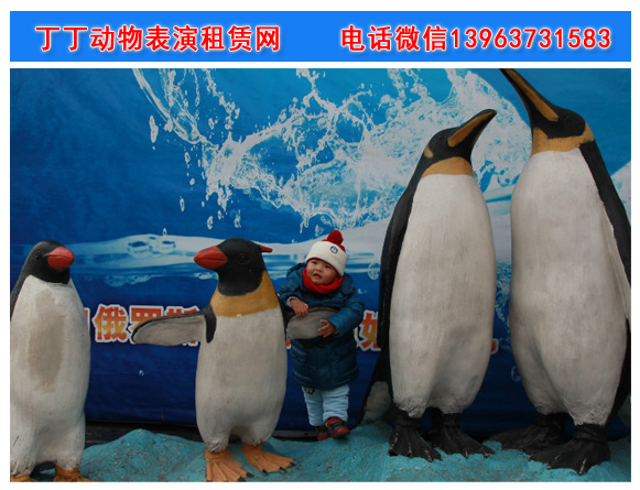 企鹅1.jpg